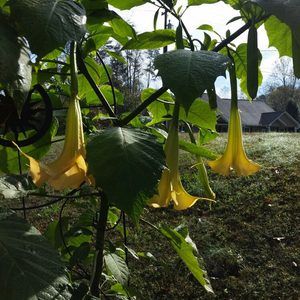 Meet your Posher, Revonda